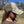 Load image into Gallery viewer, Legacy Old Favorite Stone Duck Camo Hat
